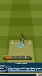 EA Cricket 2010